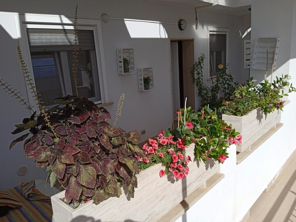 Ferienwohnung La Casa Di Elena Sannicandro di Bari Exterior foto