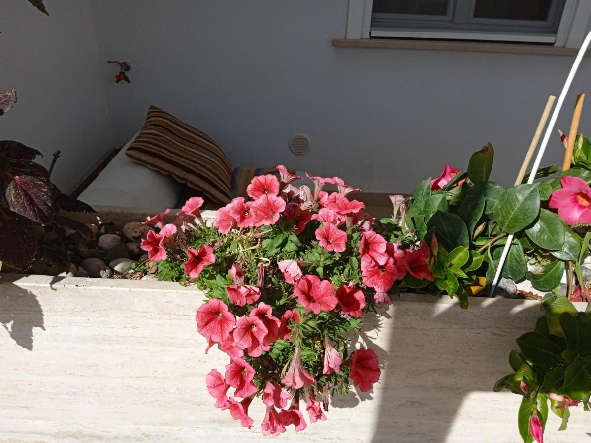 Ferienwohnung La Casa Di Elena Sannicandro di Bari Exterior foto