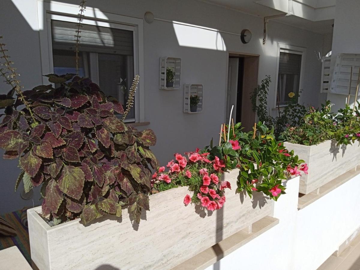 Ferienwohnung La Casa Di Elena Sannicandro di Bari Exterior foto